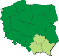 Krak�w