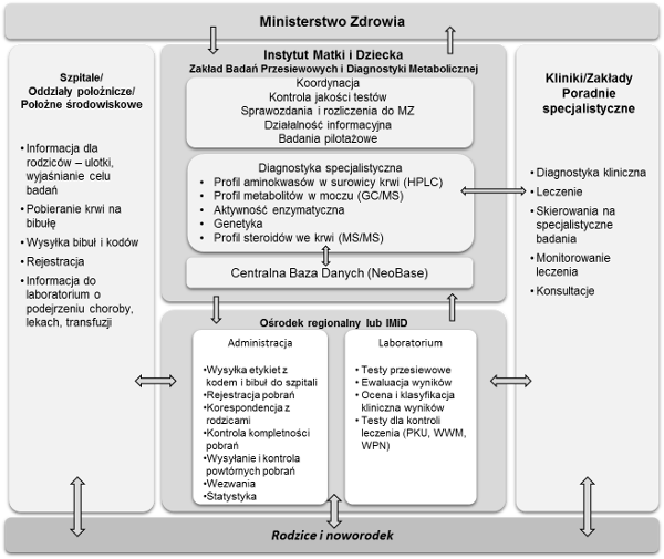 Schemat badań