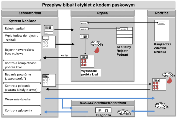 Obieg bibuł